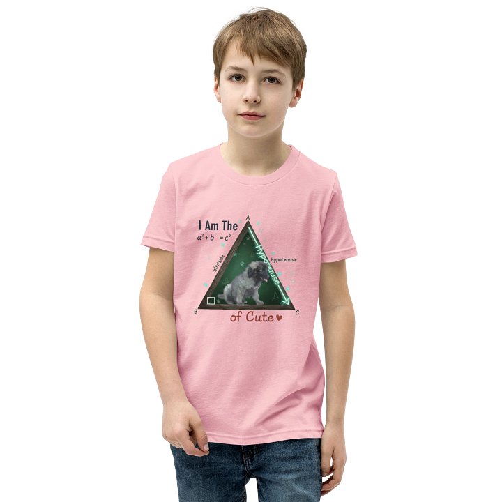 Kids Science Tee | Math Humor product image (2)