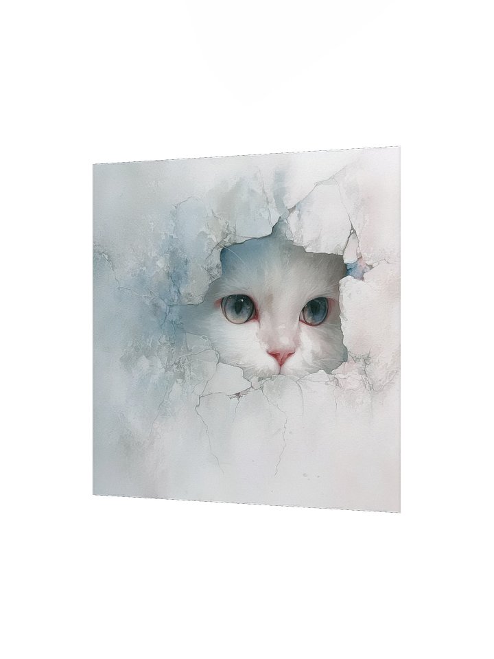 Powder blue: White Cat Peek product image (6)