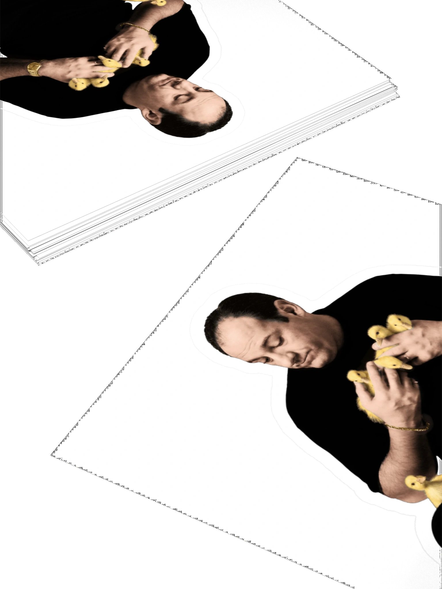 Tony & the Ducks — Vinyl Sticker product image (10)