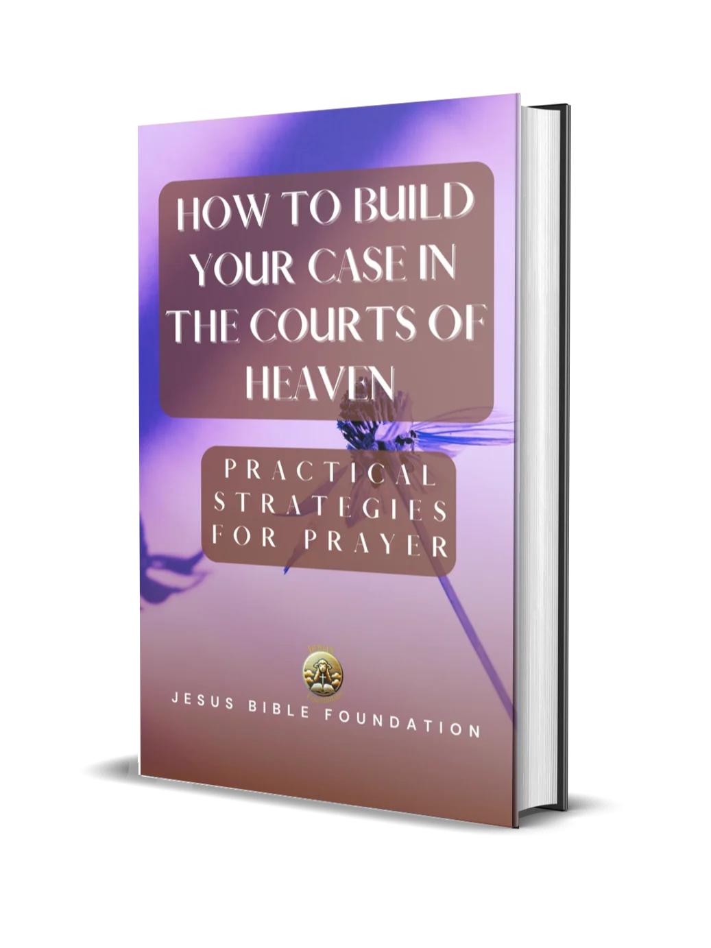 How to Build Your Case in the Courts of Heaven: Practical Strategies for Prayer product image (1)
