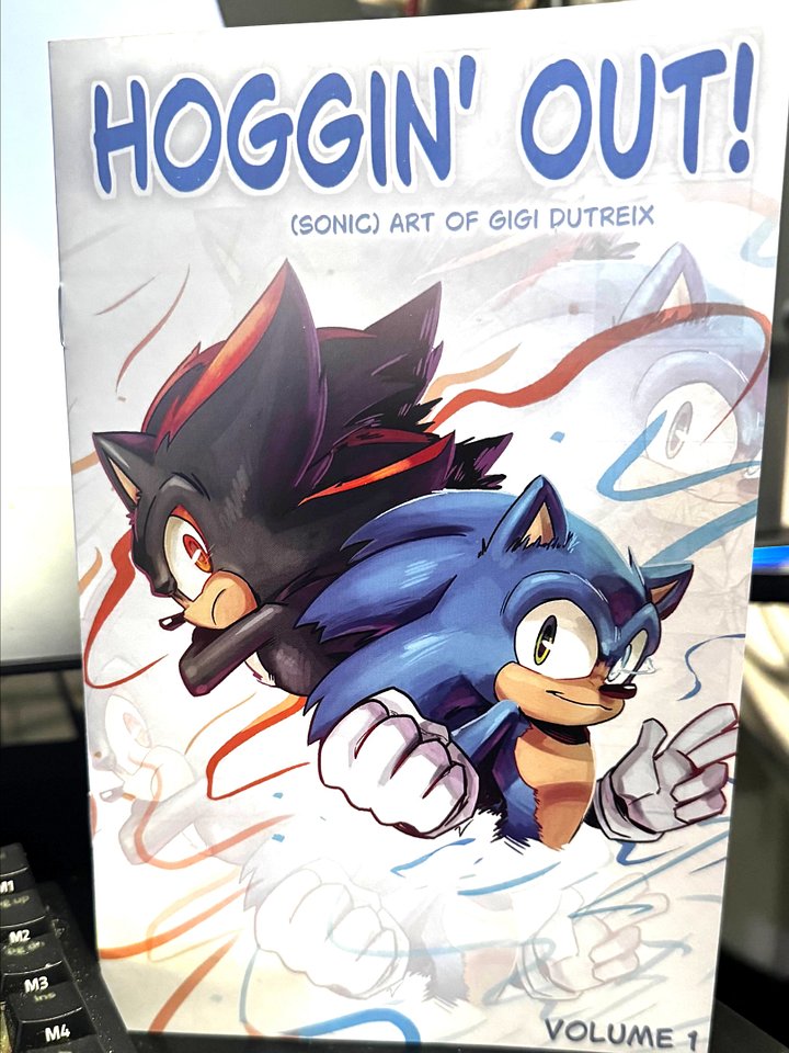HOGGIN' OUT! (Sonic) art of Gigi Dutreix product image (1)