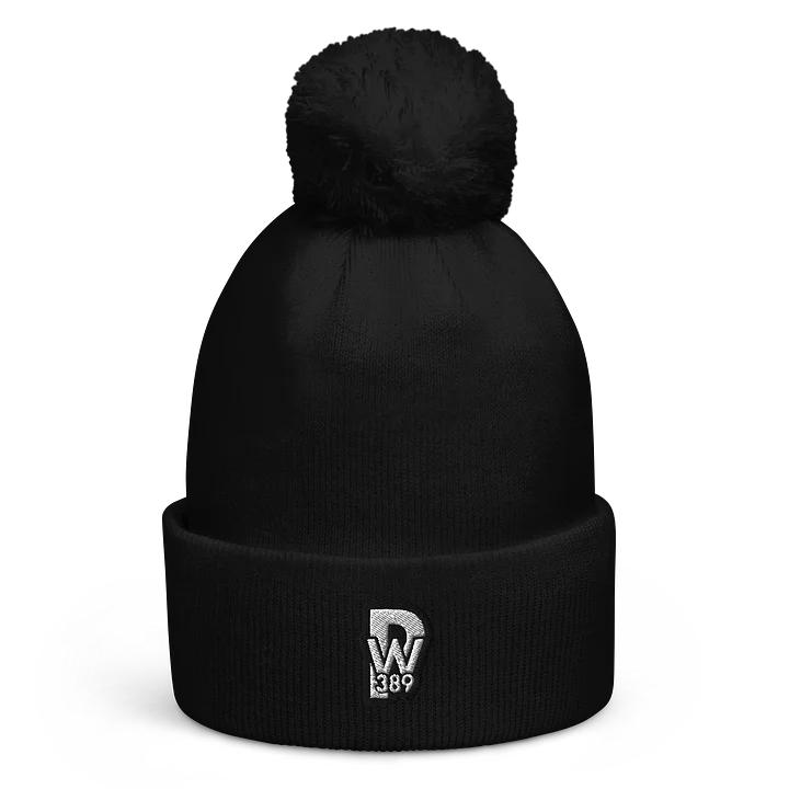 PW389 Winter Hat product image (1)
