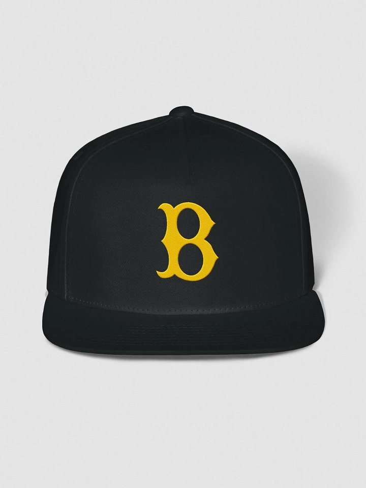 BONGS 4 KITTIES SNAPBACK HAT product image (1)