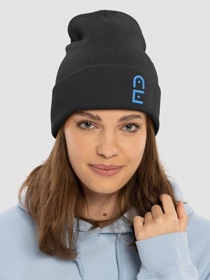 A.E. Logo Beanie product image (1)