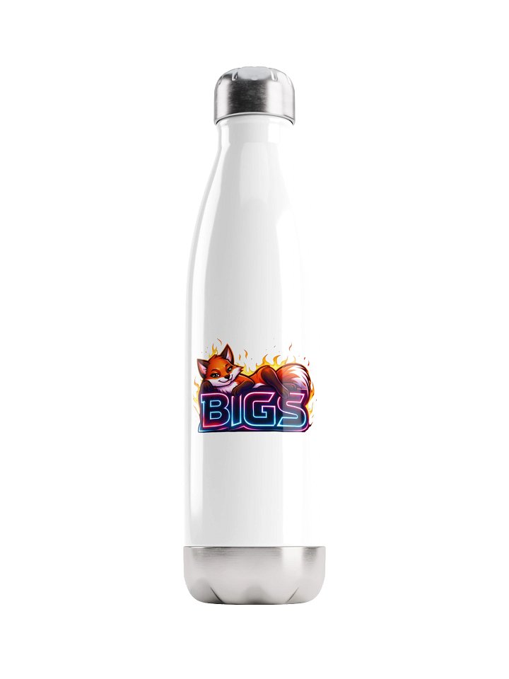BIGS 17oz Bottle product image (1)
