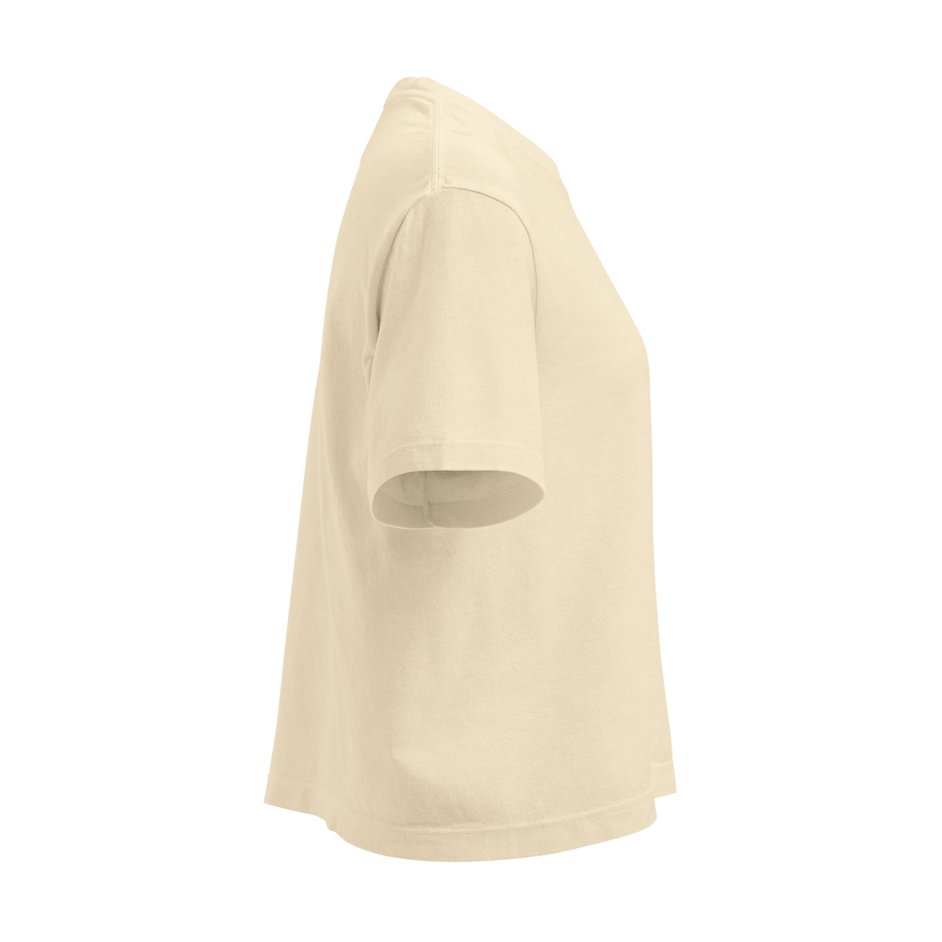 Emotional Support kangaroo Boxy Tee product image (4)