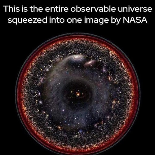 #biggerpicture#lizzards#nasa#theory