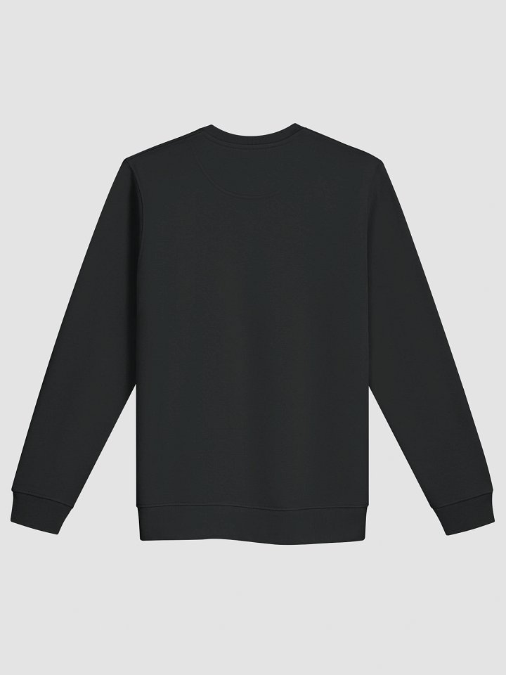 CS SweatShirt product image (2)