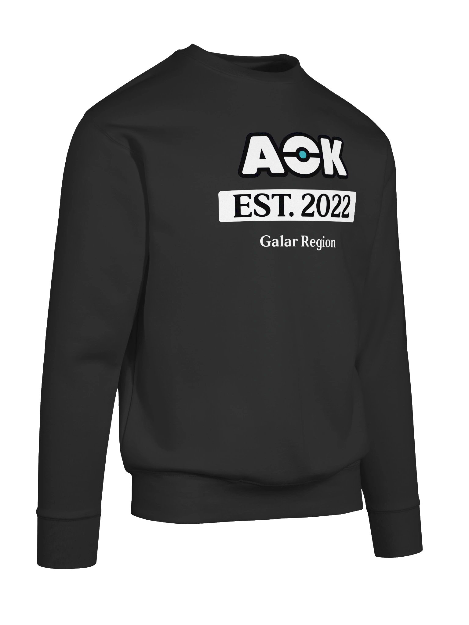AOK Established Premium Sweatshirt product image (47)