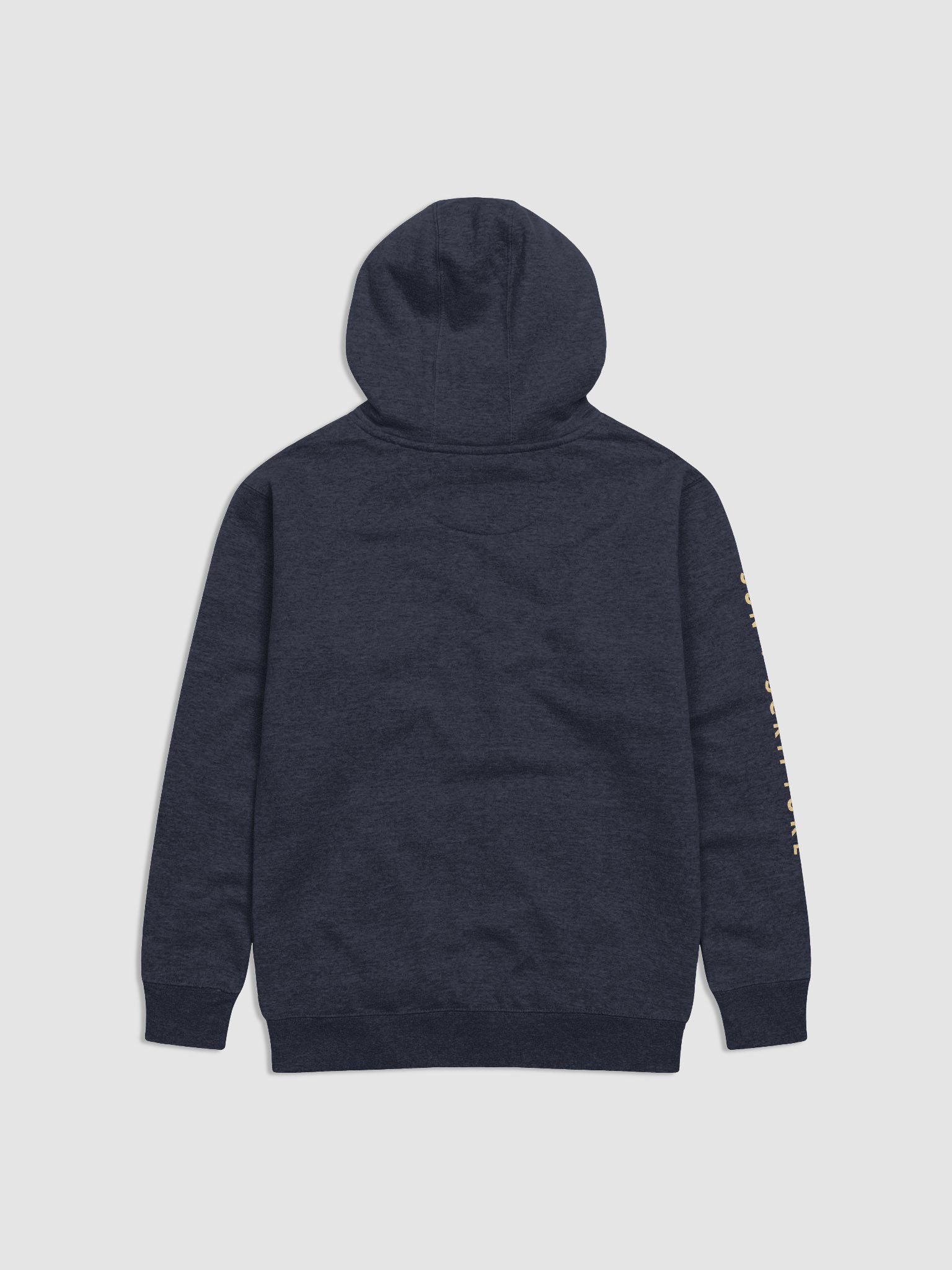 Sun + Scripture Hoodie product image (3)