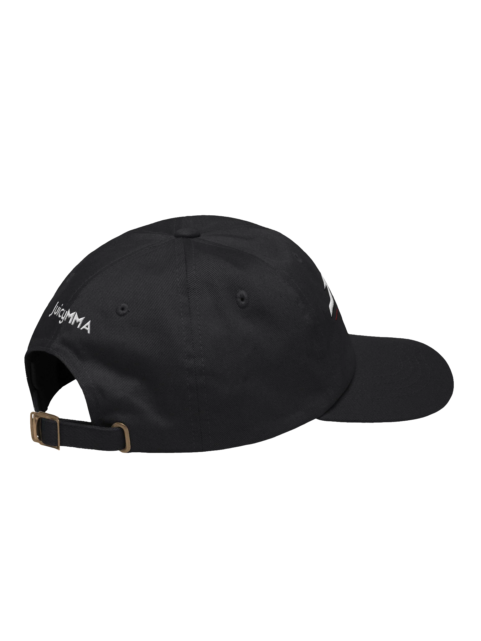 Juice Legacy Dad Hat product image (4)