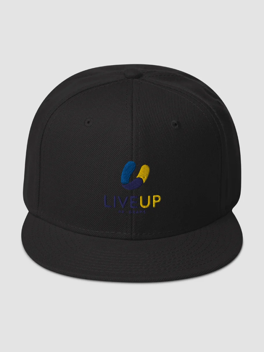 [LiveUp] Snapback - Otto Cap 125-978 product image (2)