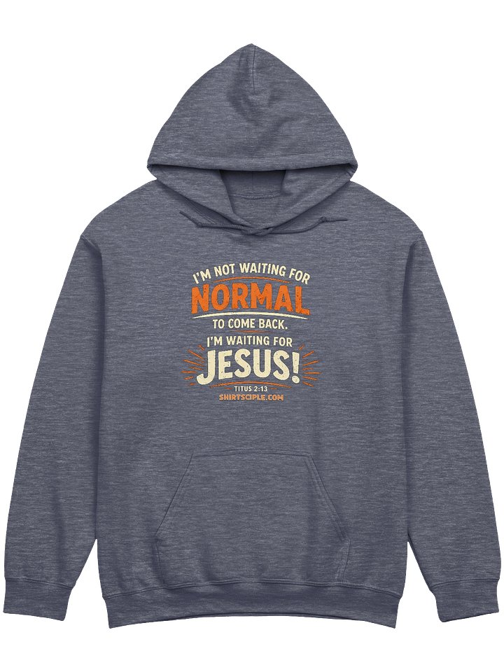 I'm Not Waiting For Normal Hoodie product image (1)