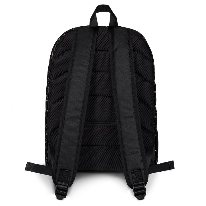 The Day Pack | Chronic Illness Essentials & Spoonie Daily Pack product image (2)