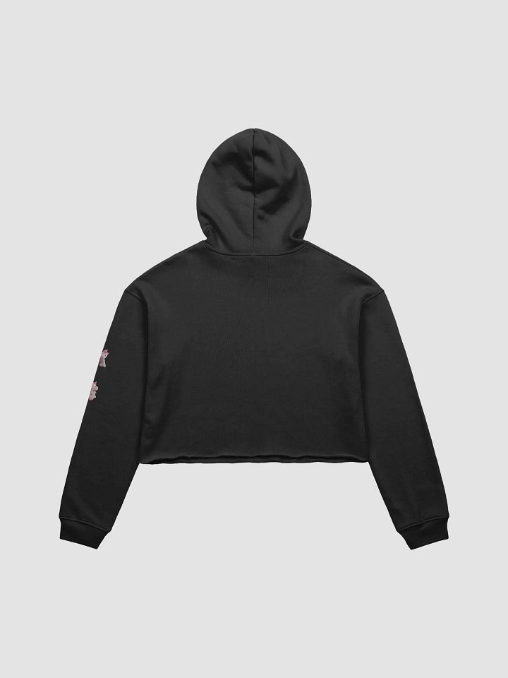 Have a Taco crop hoodie product image (5)