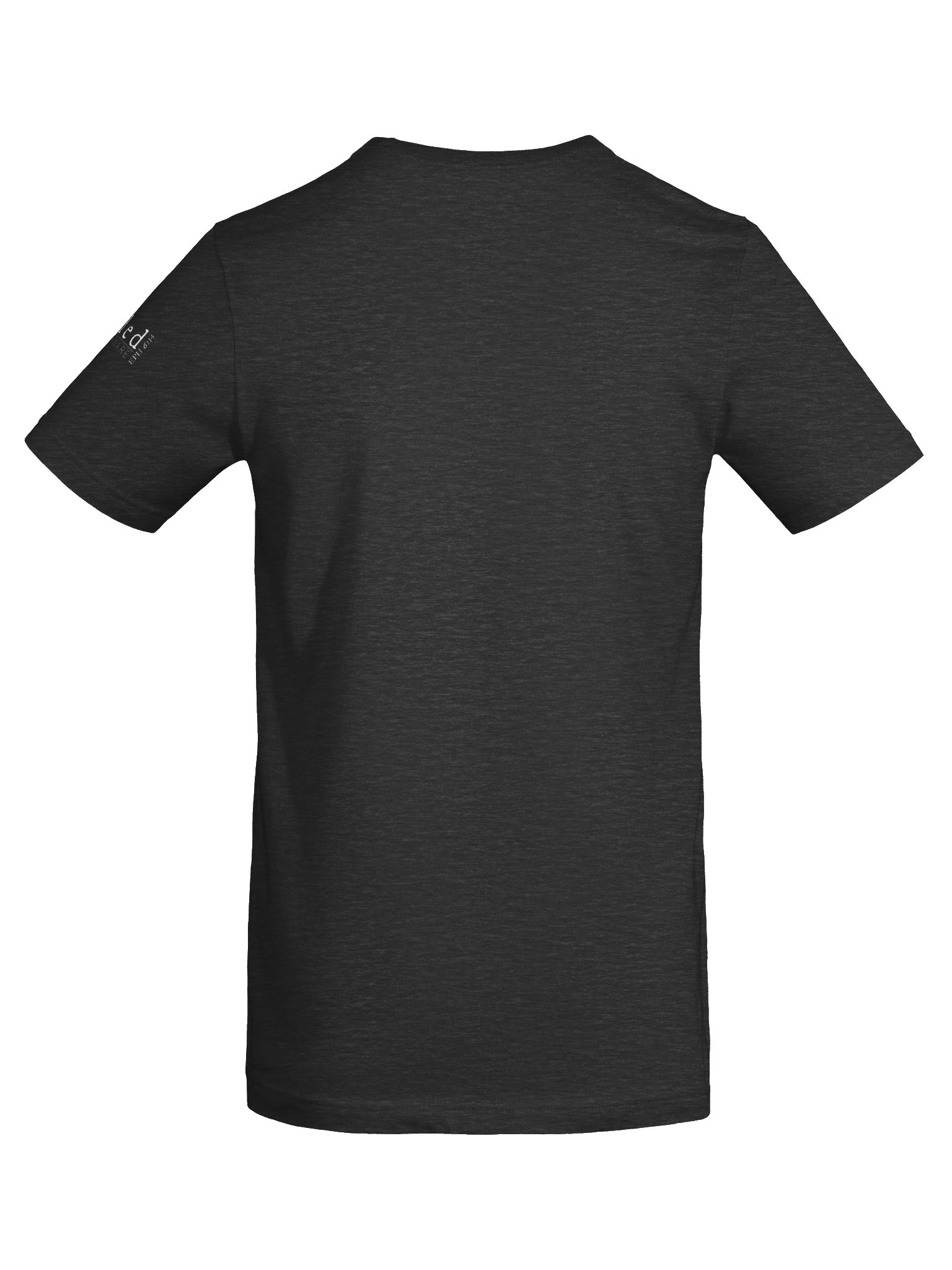 Today's Suffering Romans 8:18 Tee product image (6)