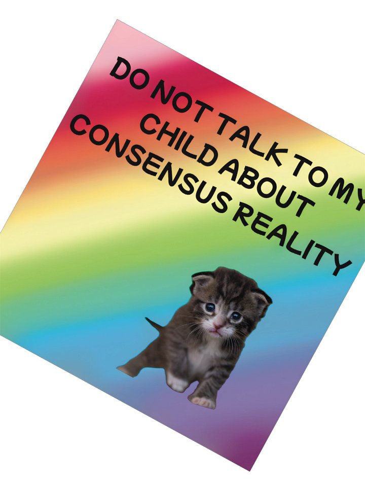 Do Not Talk to My Child About Consensus Reality Sticker product image (5)