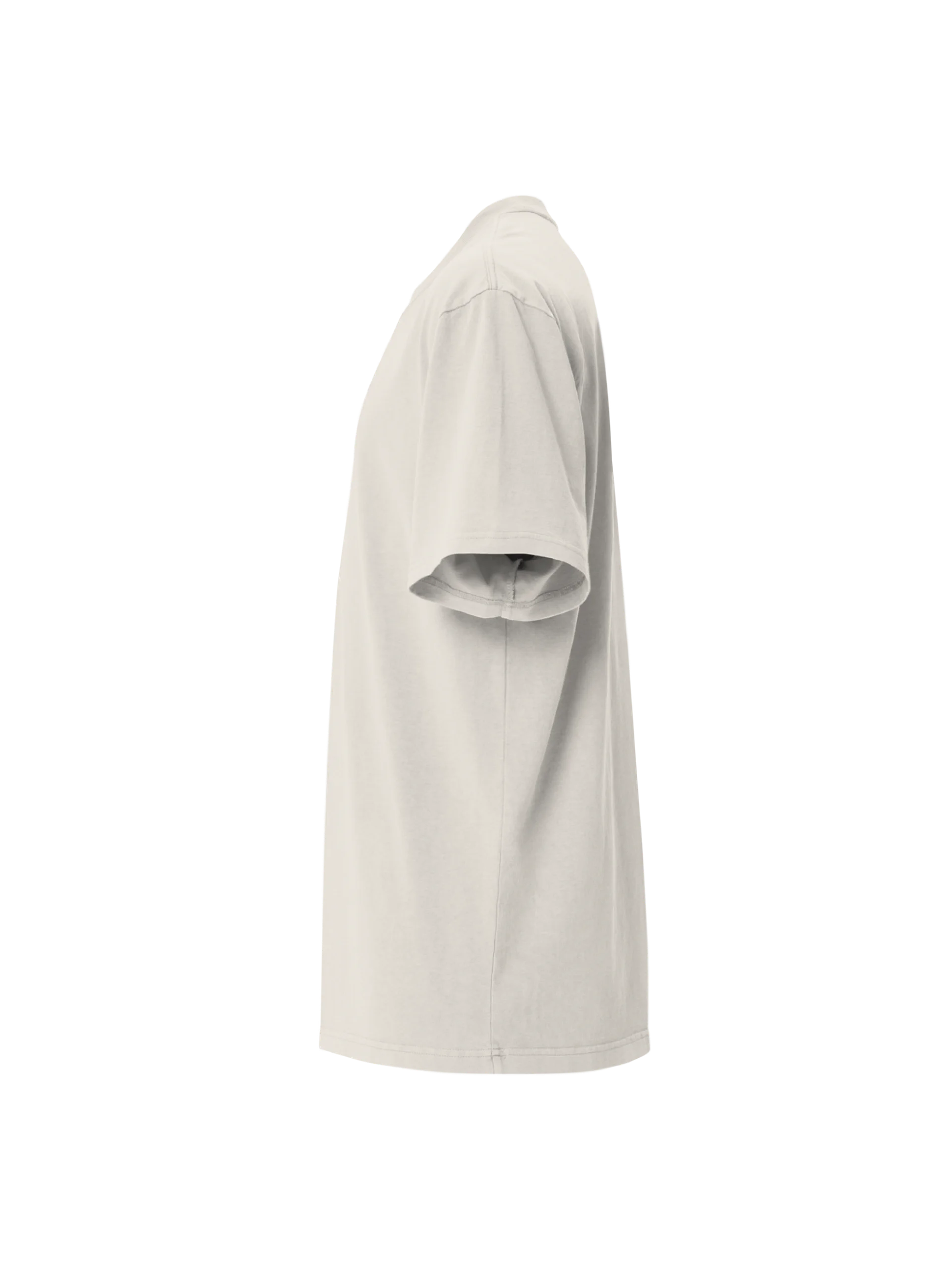 Ascend | Oversized Tee (Bone) product image (6)