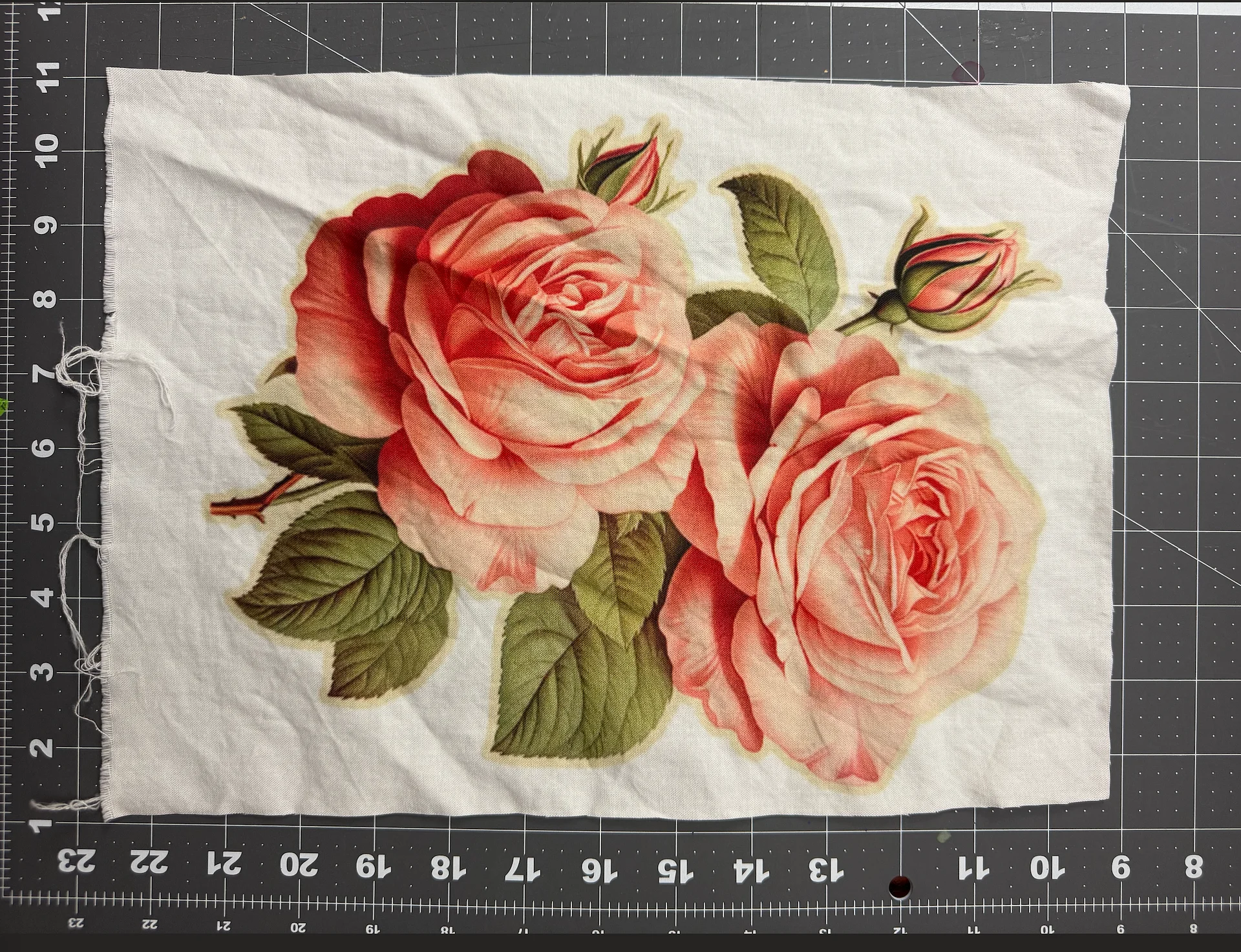 JUMBO ROSES product image (1)