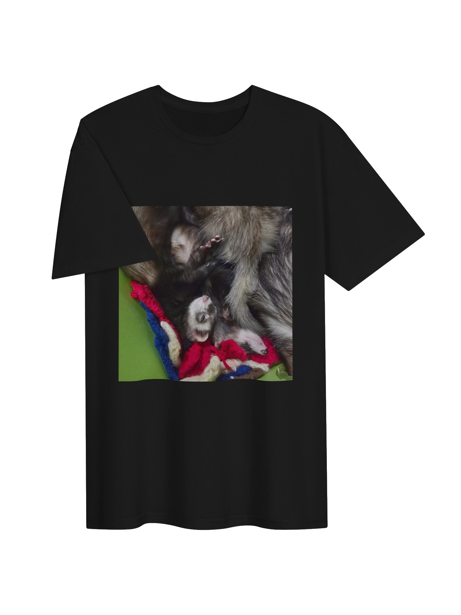 Sleepy Ferrets product image (143)