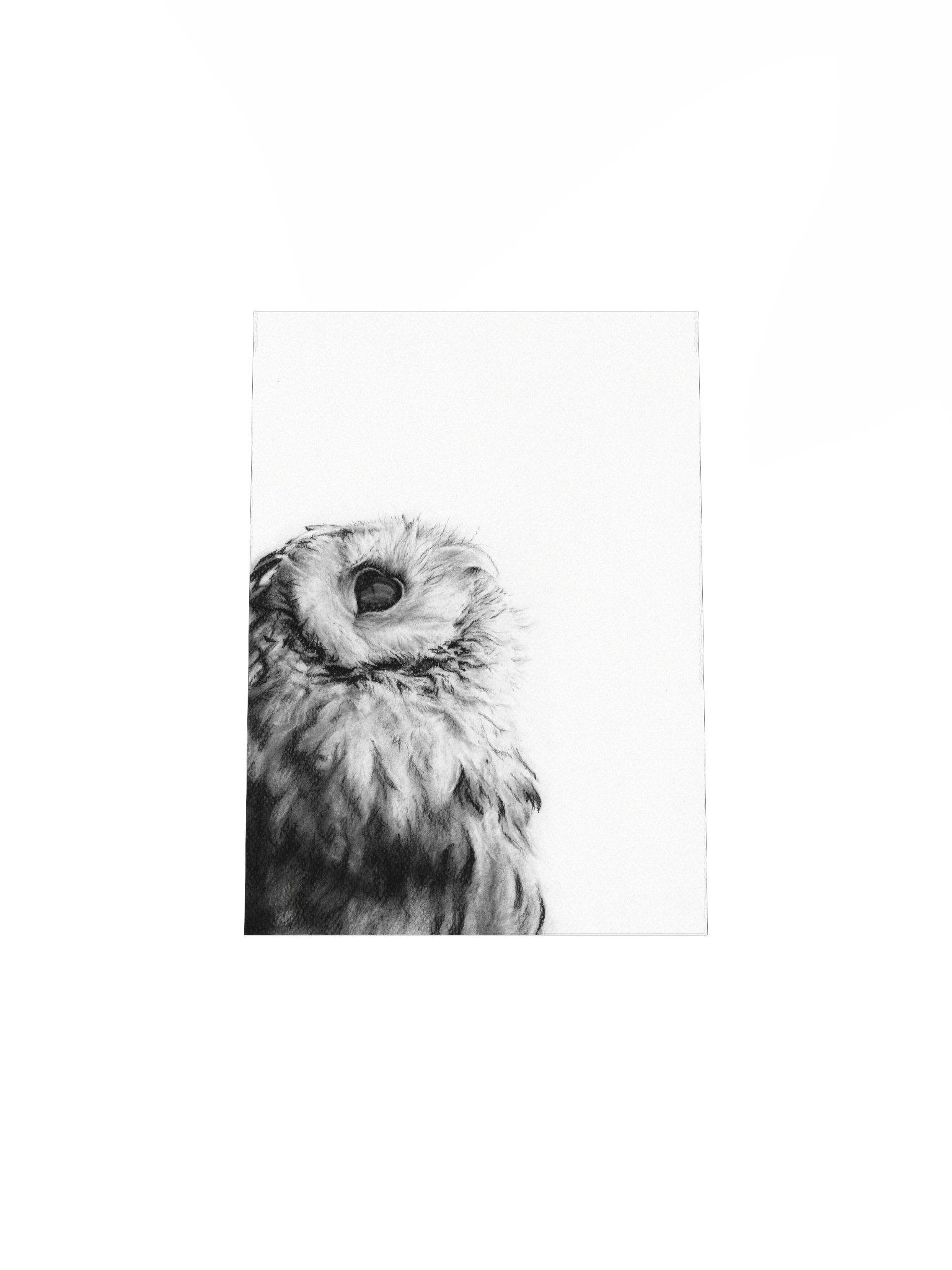 Archie - Matte Poster Print product image (4)