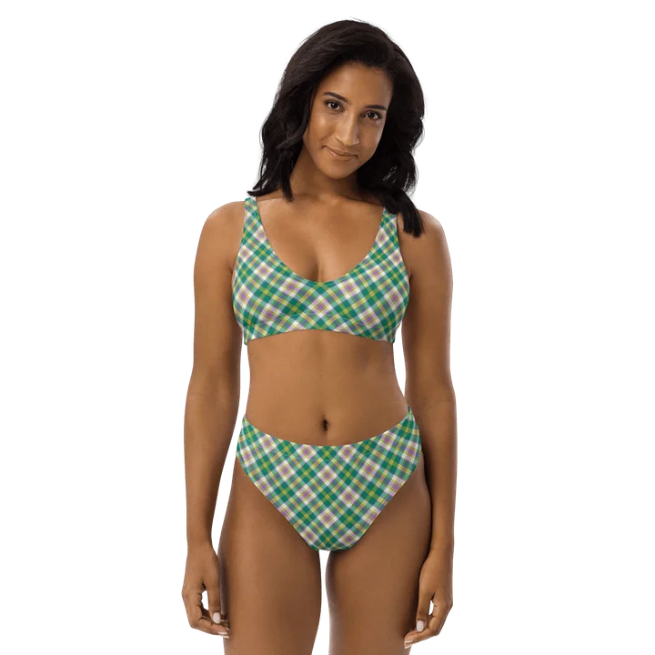 Seafoam and Purple Plaid Bikini product image (1)
