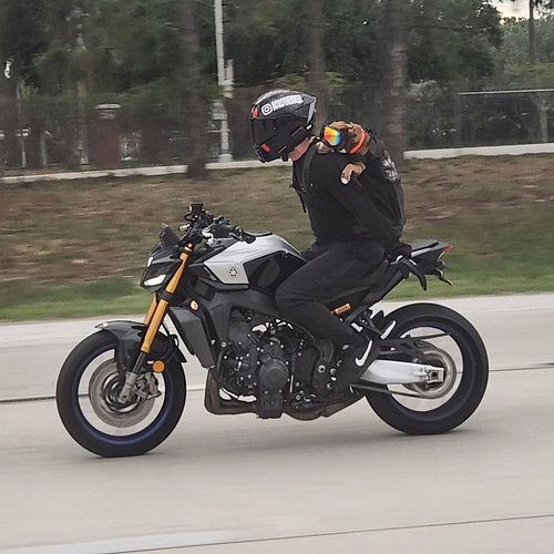 TX is cool and all… but you just can’t compare it to Florida.

Dog on the back of a motorcycle? That’s not even peak Florida ...