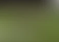 CFB 27's tag thumbnail