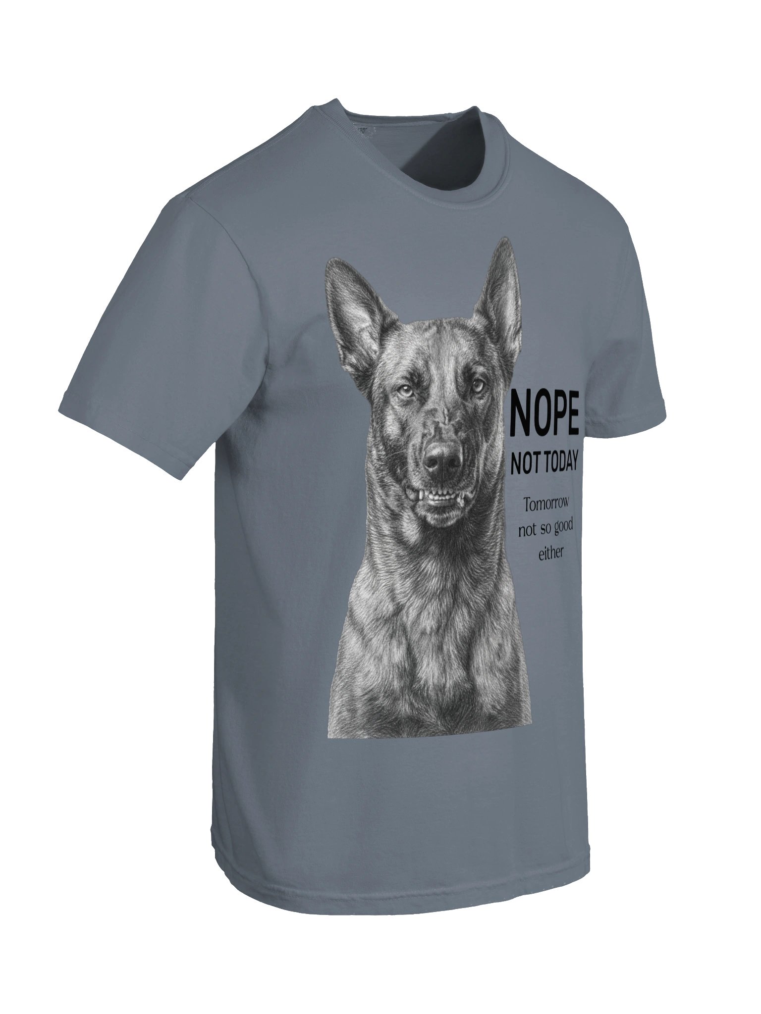 Nope Not Today product image (54)