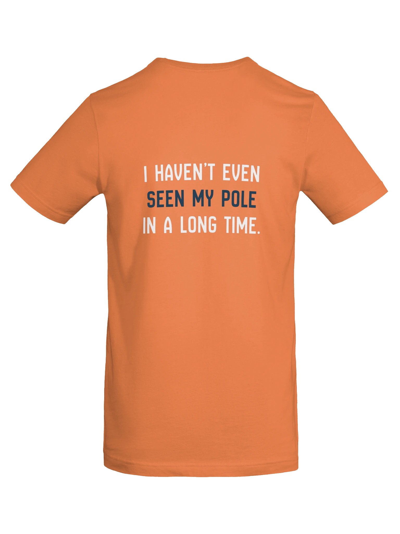 Haven't Even Seen My Pole Tee (Burnt Orange) product image (6)