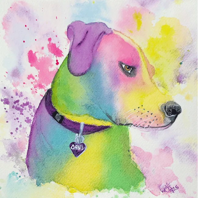 Animal Vibe Collection-The Whole Pack