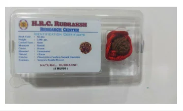 सिध्द चार मुखी रुद्राक्ष product image (1)