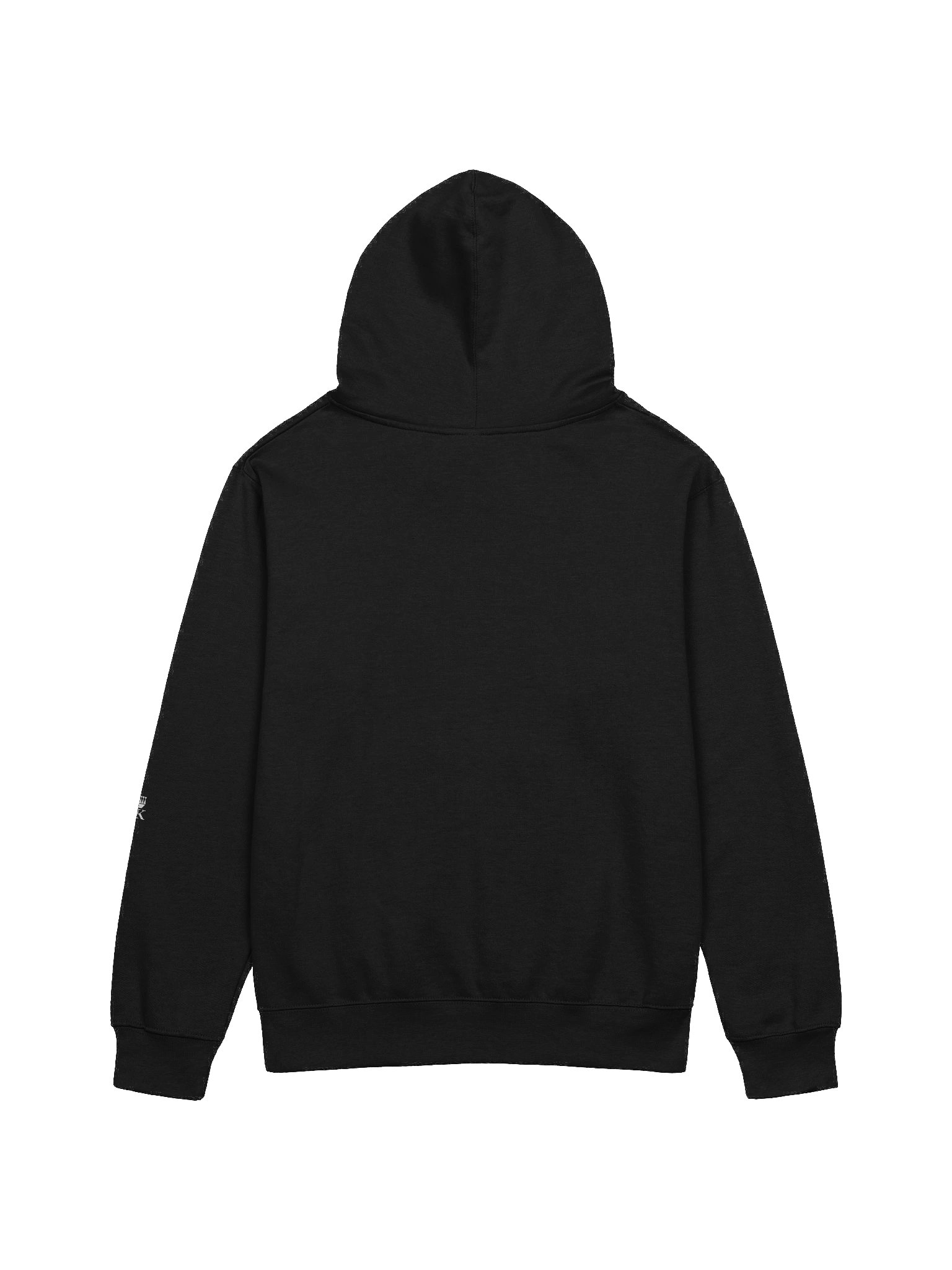 Why Not. Regular Fit Hoodie product image (11)