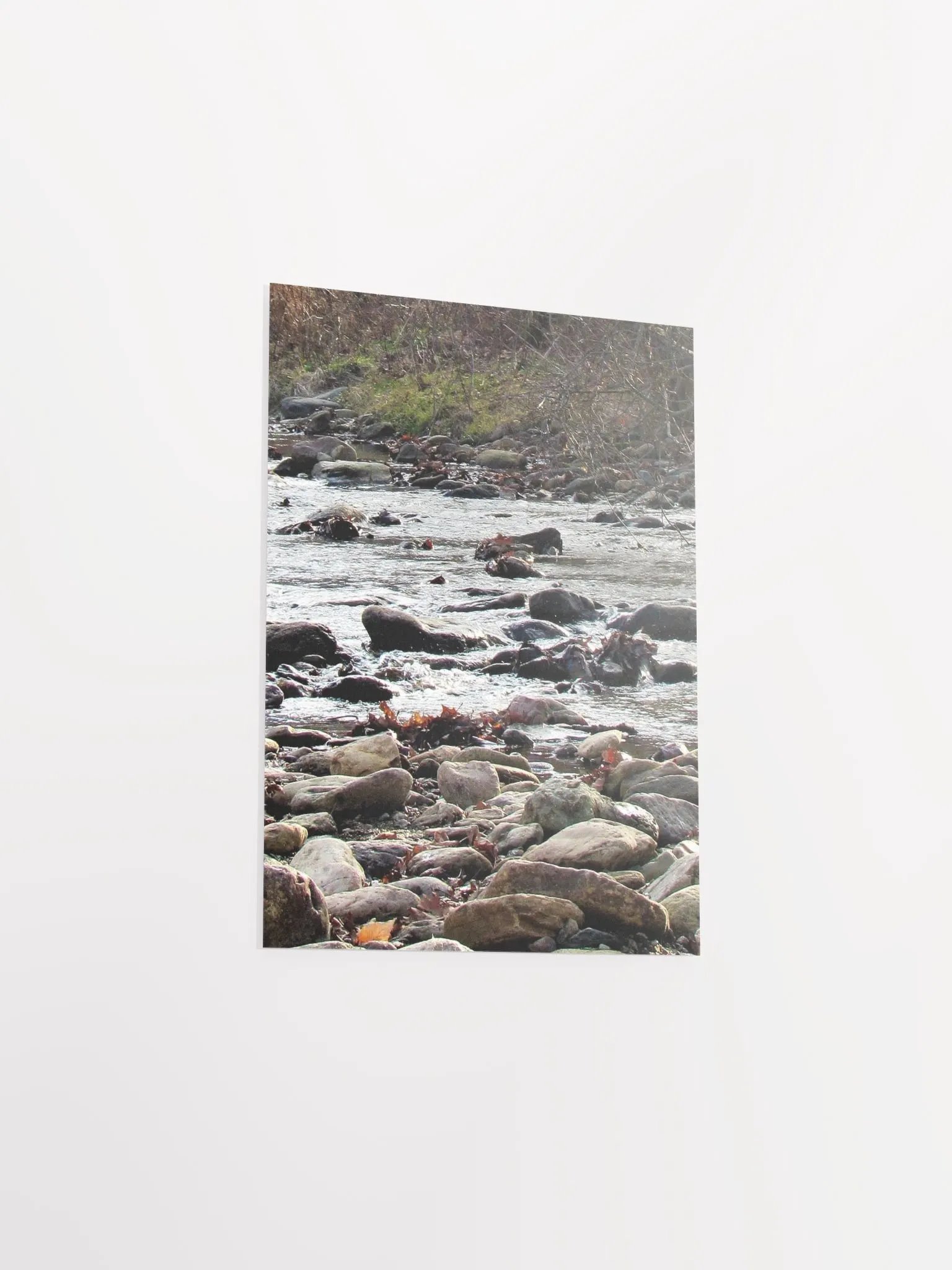NC River Stream 2 product image (36)
