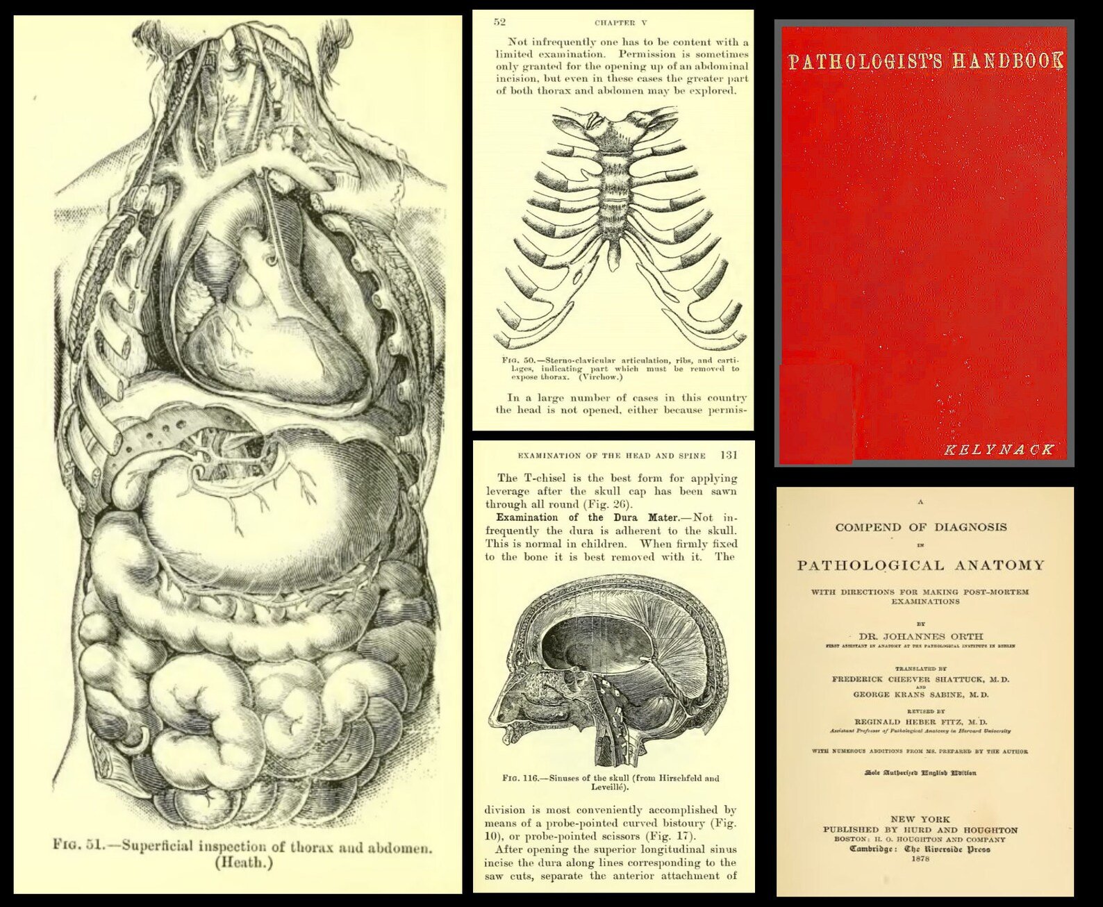 140 Rare Pathology Books product image (8)