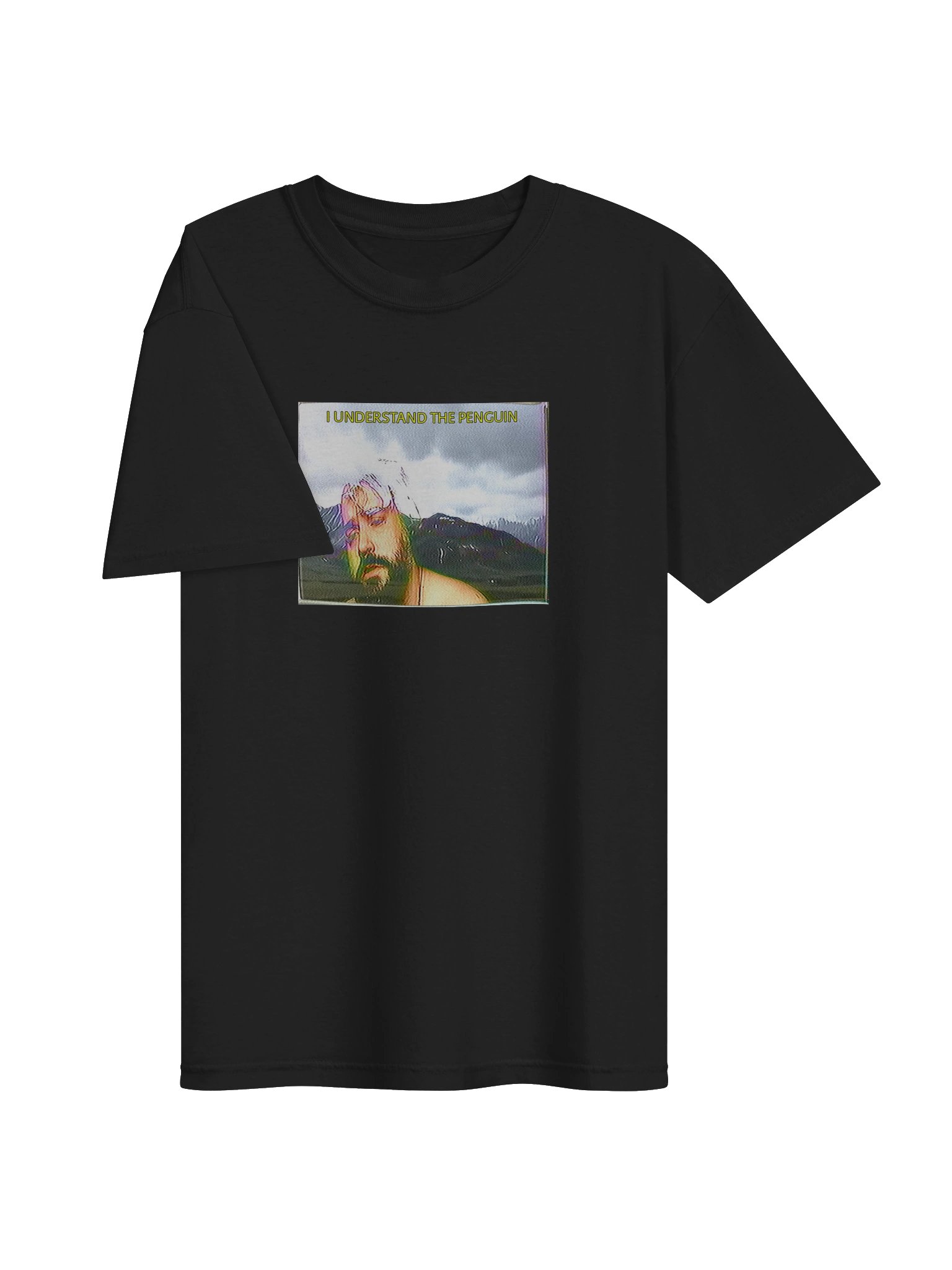 I UNDERSTAND THE PENGUIN SHIRT product image (67)