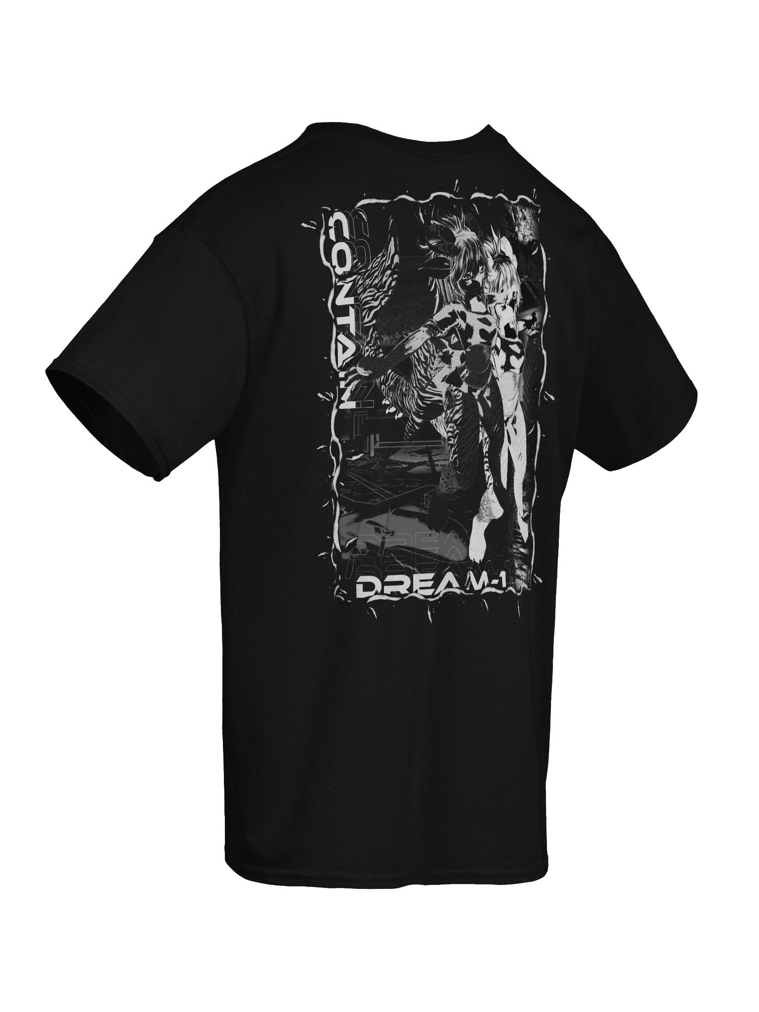 The Ascendent(ALT) T Shirt product image (10)