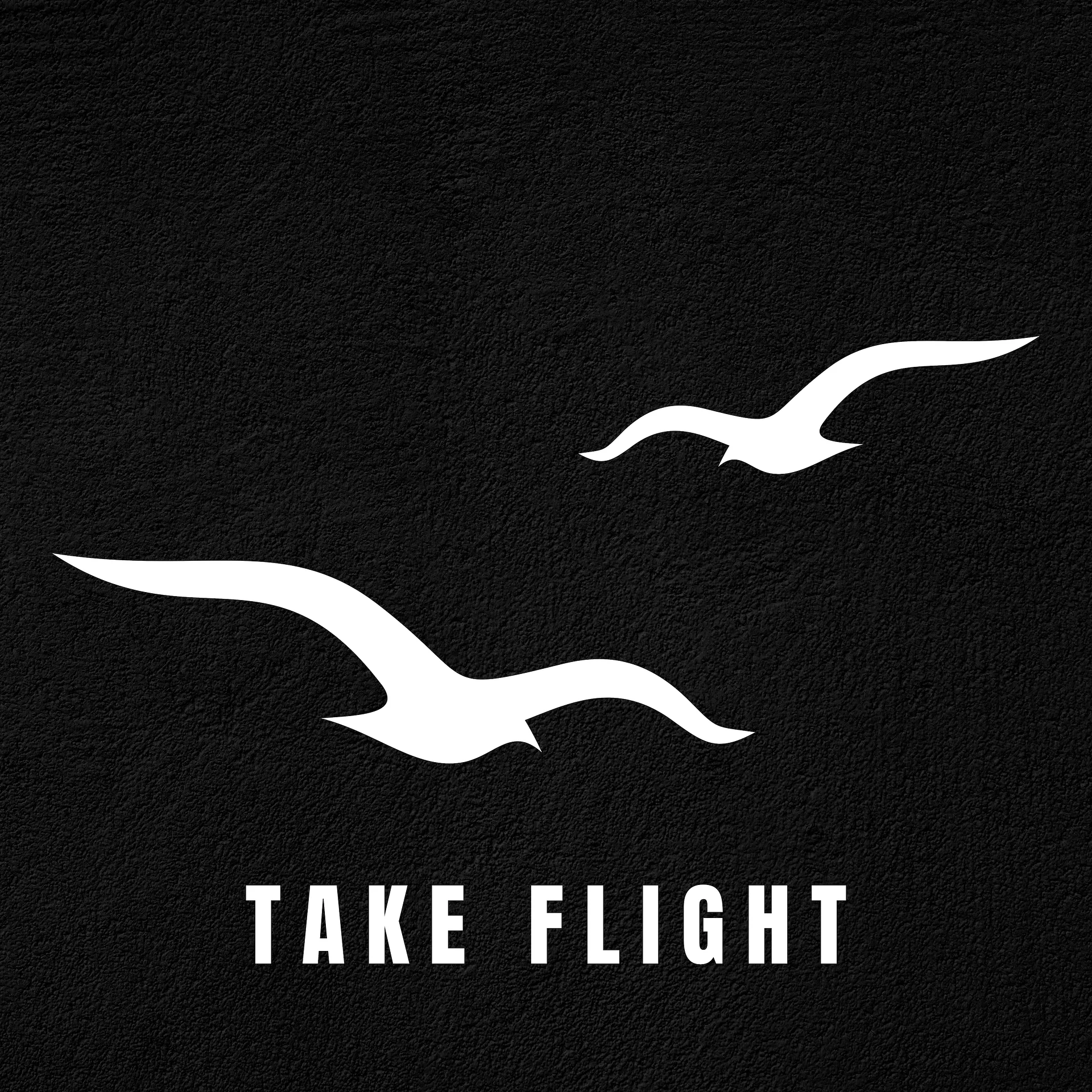 Take Flight / Signature Hoodie product image (7)