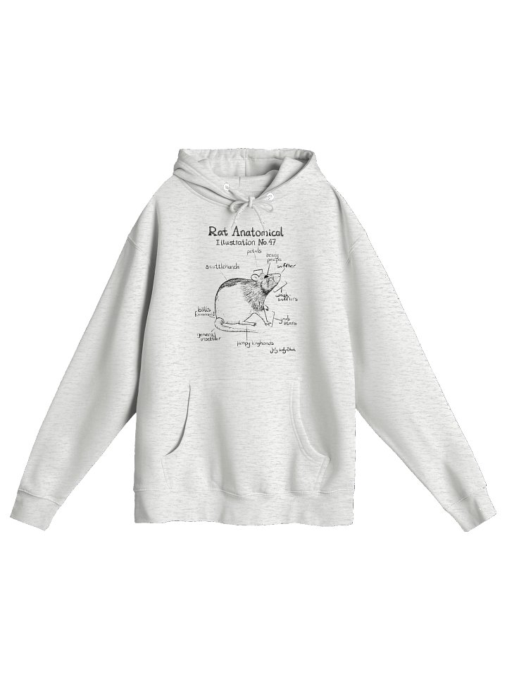 Rat Anatomy product image (2)