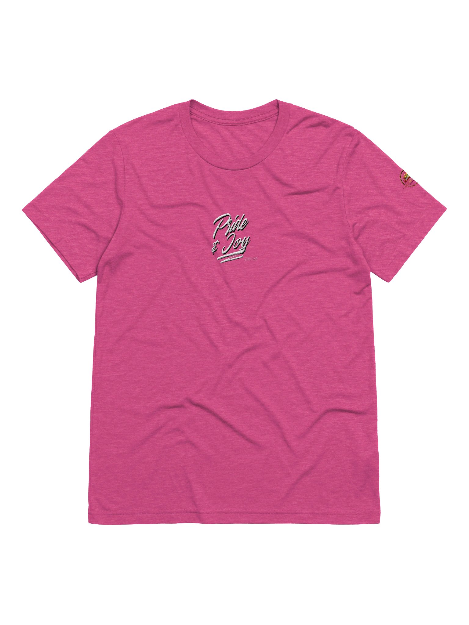 Embroidered Pride & Joy Since 1969 Tee product image (38)