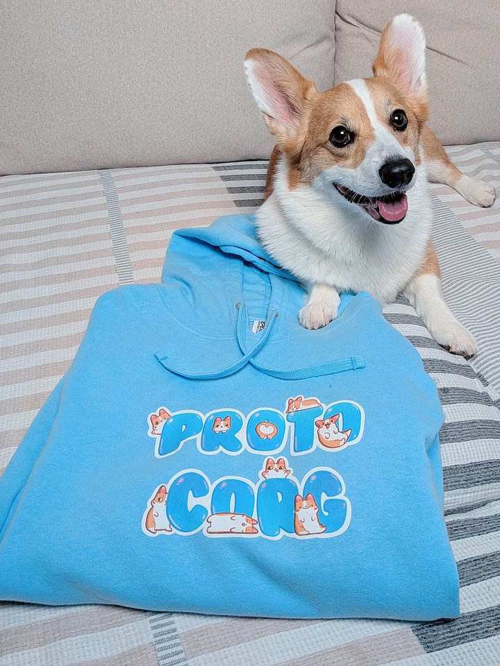 Cozy Corgi Hoodie product image (1)