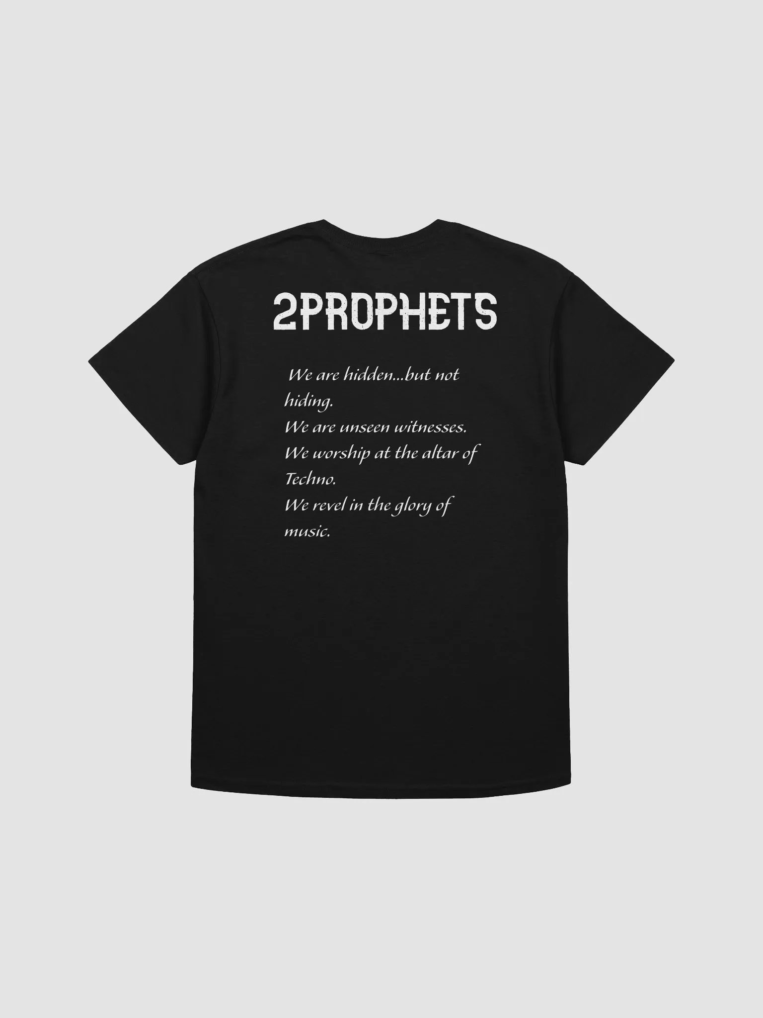 2PROPHETS Heavyweight Tee (PROMO2) product image (2)