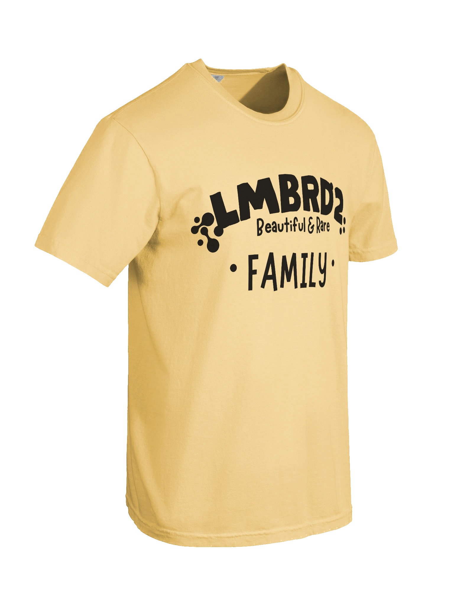 LMBRD2 Comfort T-Shirt -FAMILY product image (46)