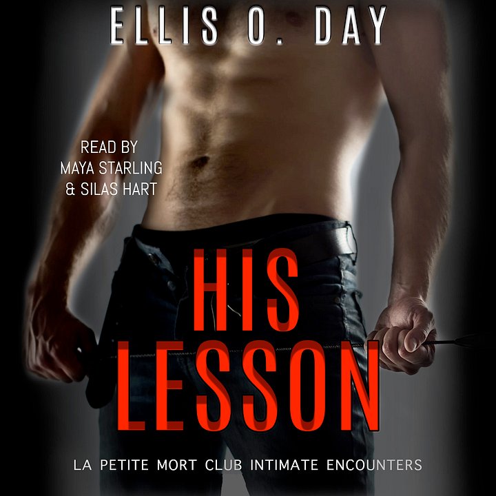 His Lesson Audiobook product image (1)