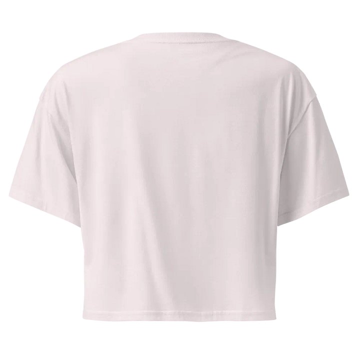 Awestruck Minimalist Embroidered Crop Top product image (2)