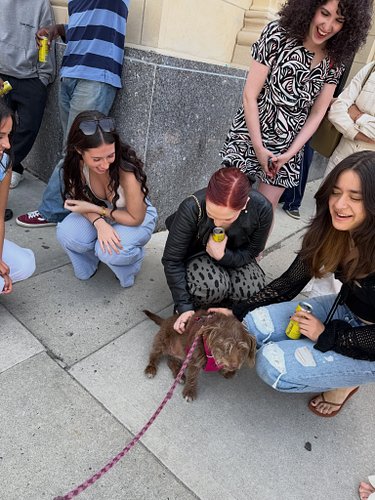 a strangers dog who decided 
you were its person for even just 
two minutes 
(or as long as you’ll keep petting it for)

it j...