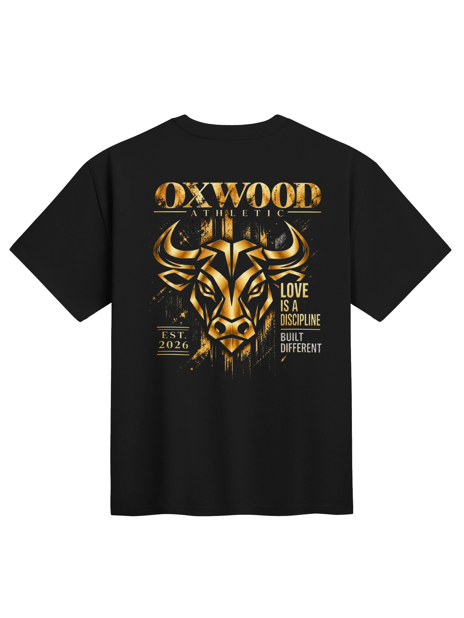 OXWOOD ATHLETIC BUILT DIFFERENT HEAVYWEIGHT TEE product image (4)