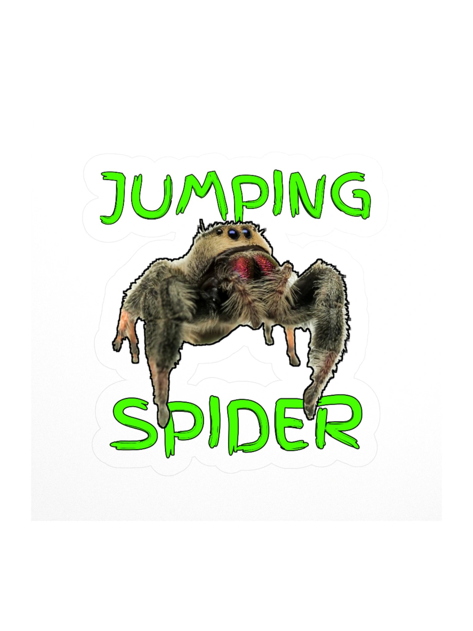 Jumping Spider Sticker product image (1)