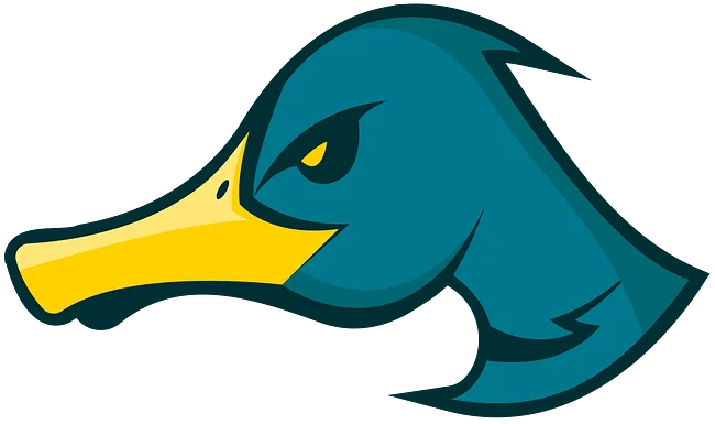 Ducks