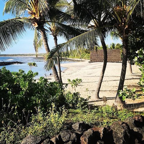 #hawaii #travelfitness #lilyfire_fitness #dreamdestination #fyp #lifewithlilyfire #enjoylife